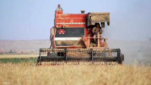 العراق يلجأ إلى حلول خارجية بشأن القمح