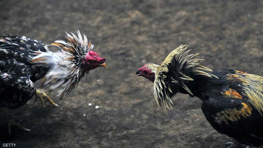 ترقب وانتظار