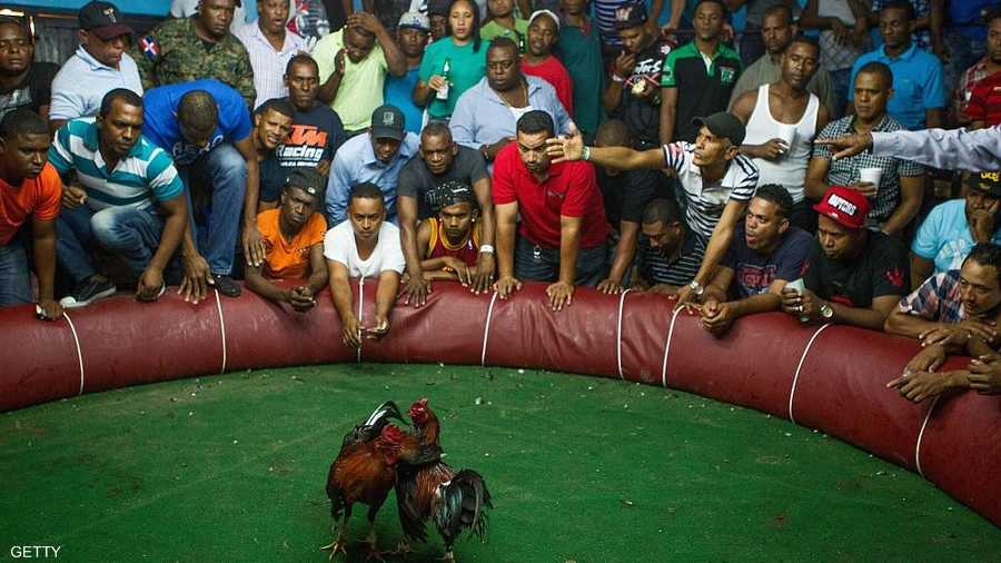 يتجمع عشرات الأشخاص لمشاهدة المصارعة