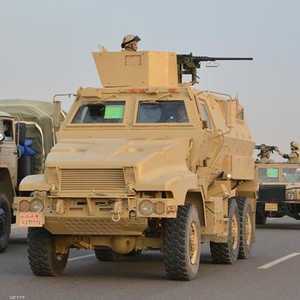 تضامن عربي مع جمهورية مصر