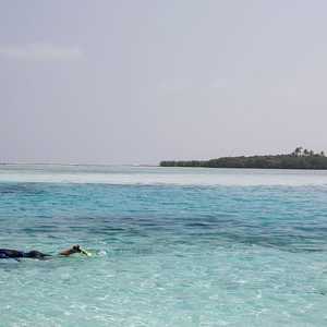 بعض الدول تواجه الغرق بسبب ارتفاع منسوب البحر