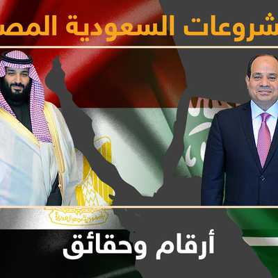 زيارة ولي العهد السعودي إلى مصر