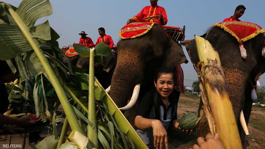 هدف الاحتفال حث البشر للحفاظ على الحياة البرية.