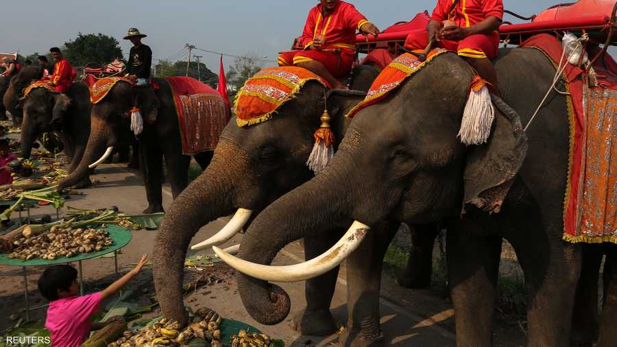 بدأت تايلند الاحتفال بهذا اليوم منذ عام 1998.