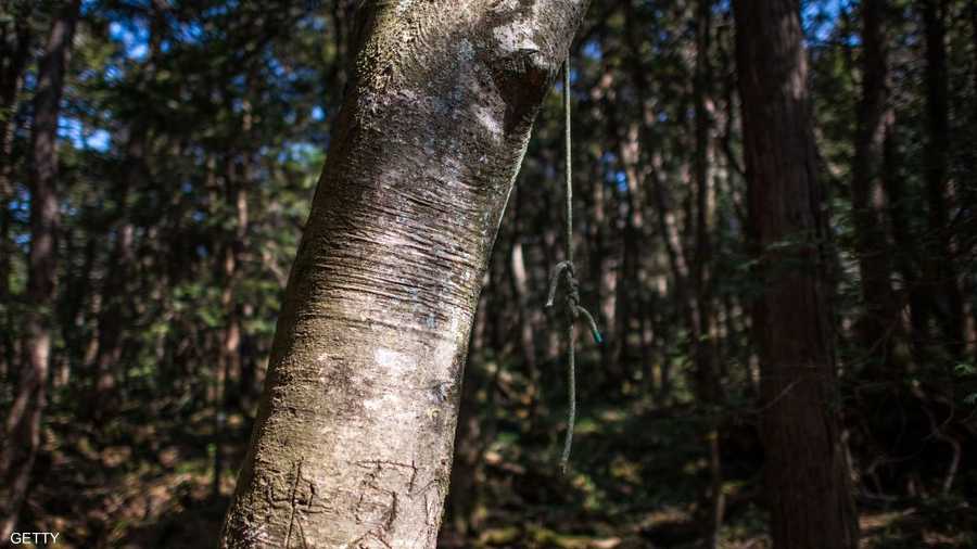 تربط الحبال ليعرف من يفكر بالانتحار طريق العودة إن غير رأيه.