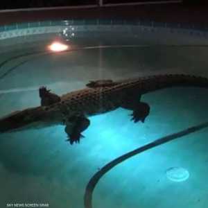 صورة تعبيرية