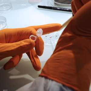 استخدم علماء جامعة "كولومبيا" الخلايا الجذعية لإنبات قلب