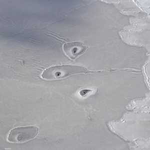 صورة الدوائر