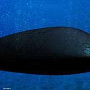 صورة الغواصة