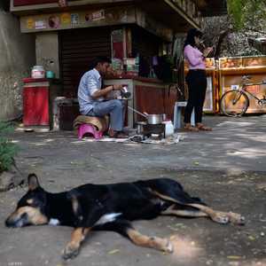 الهجمات أثارت ذعرا لدى القرويين