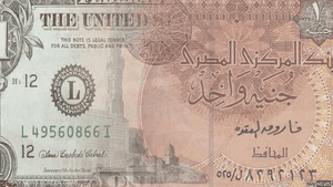 الجنيه المصري سجل في التعاملات 18.45-18.55 جنيها للدولار