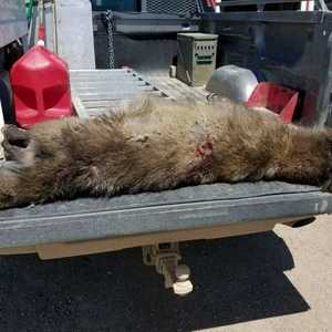 نتائج عينات الحمض النووي قد تستغرق شهورا