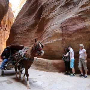 سياح أجانب في مدينة البتراء الأثرية بالأردن