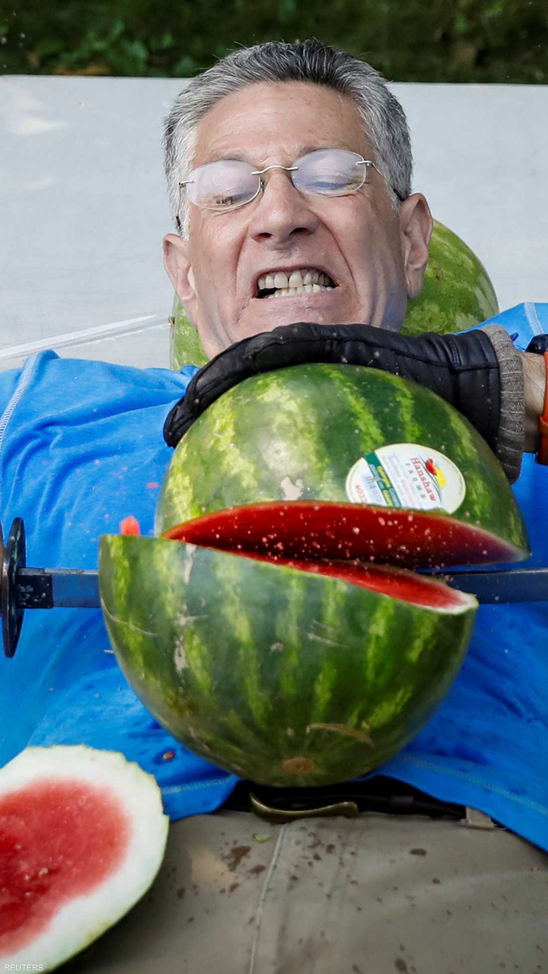 يجب أم يقطع البطيخ على بطنه