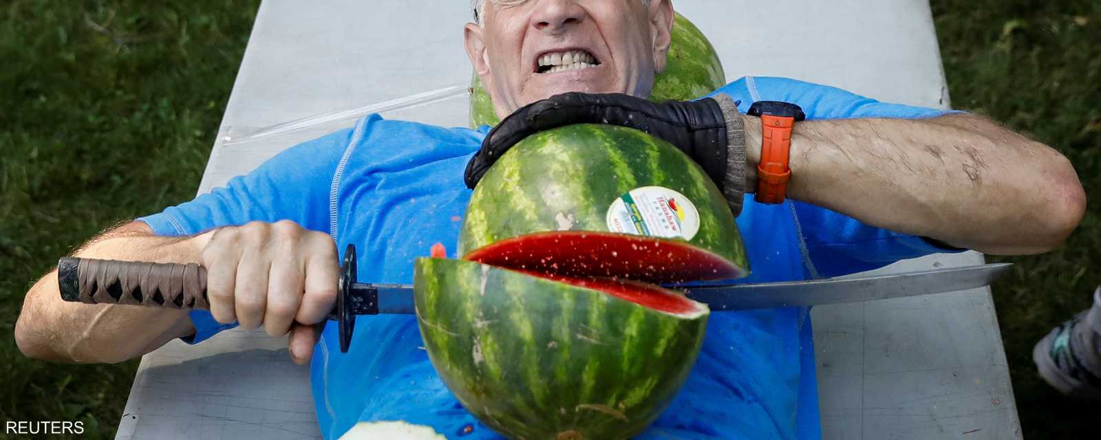 يجب أم يقطع البطيخ على بطنه