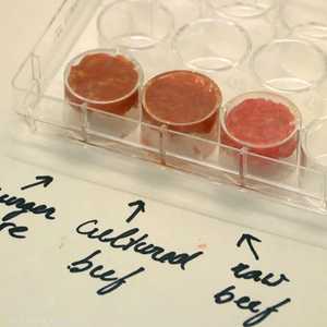 عينات من لحوم حيوانية ولحوم مصنعة