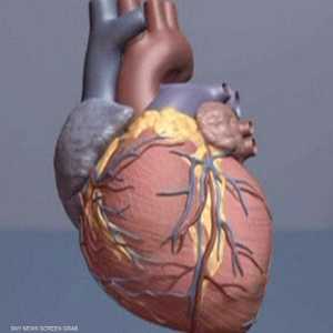 الغذاء كلمة السر في تلافي مرض القلب