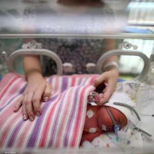 تشير الطبيبة التشيكية إلى تأثير التجميد على نوع المواليد