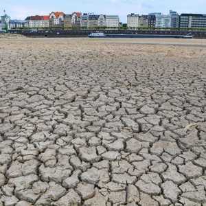 جفاف "مخيف" للراين