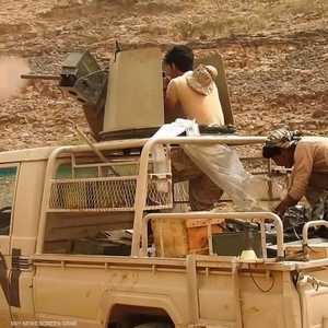 قوات المقاومة المشتركة تواصل عملياتها في الدريهمي