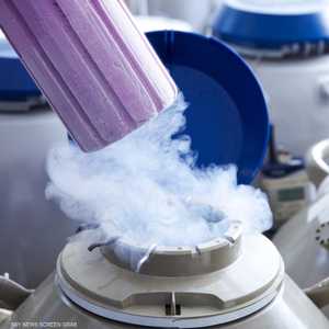 تجميد البويضات