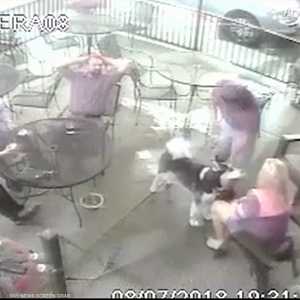 "مفاجأة مؤلمة" من كلب