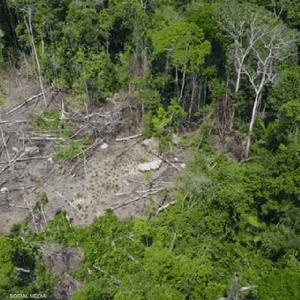 قبلية منعزلة عن العالم