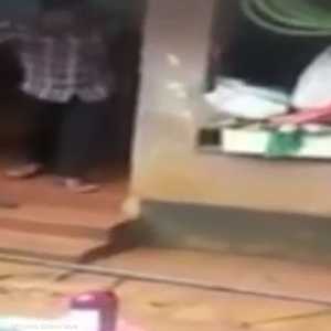 الأفاعي تحاوط الهنود الناجين من الفيضانات