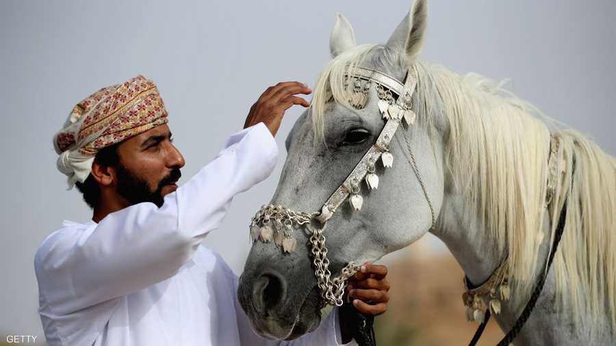 الخيول.. قصة عشق لا تنتهي في سلطنة عمان