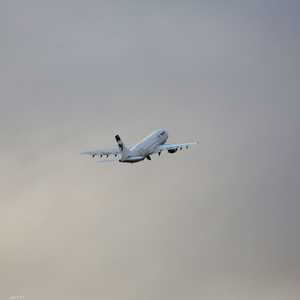 حظر السفر إلى أميركا طال عدة دول بينها إيران