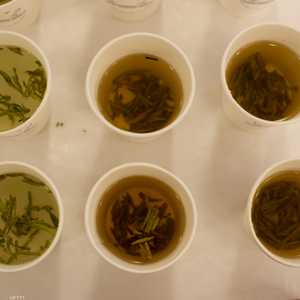 من فوائد الشاي الأخضر زيادة قدرة الجسم على حرق الدهون