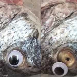 المغردون الكويتيون سخروا من خطوة المتجر