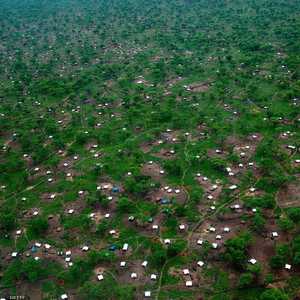 الحمى تنتشر بسبب الأمطار