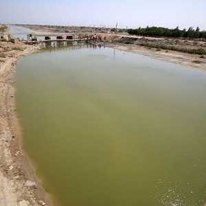 العراق.. أزمة المياه تضرب الثروة السمكية