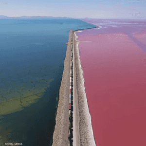 بحيرة بلونين