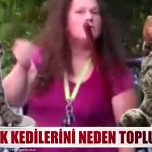 "شاورما قطط" للسوريين تثير الجدل في إسطنبول