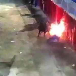 ثور بقرنين مشتعلين يقتل عجوزا