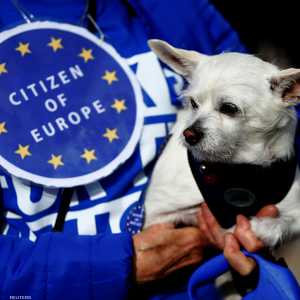 شارك المئات مع كلابهم في المسيرة المناهضة لبركسيت