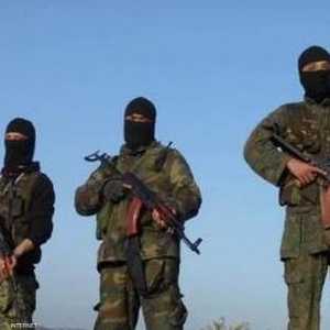 أكثر من 7 آلاف مسلح متشدد قدموا من الصين إلى سوريا.