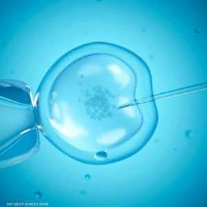 عملية تلقيح صناعي