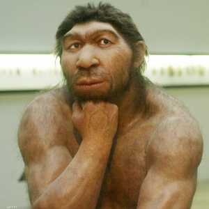 طور الإنسان النياندرتالي جينات قادرة على محاربة الأمراض