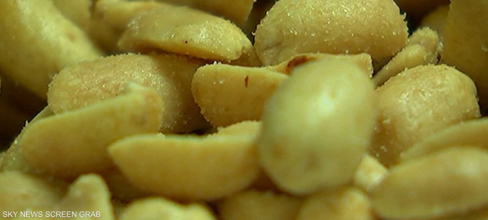 الفول السوداني