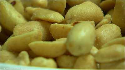 الفول السوداني