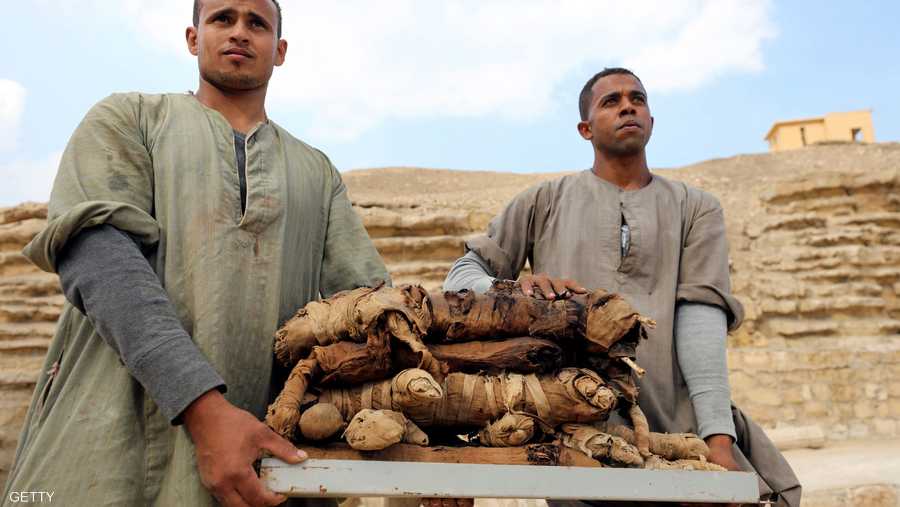 استخراج عدد من القطط المحنطة من مقبرة خوفو-إيمهات