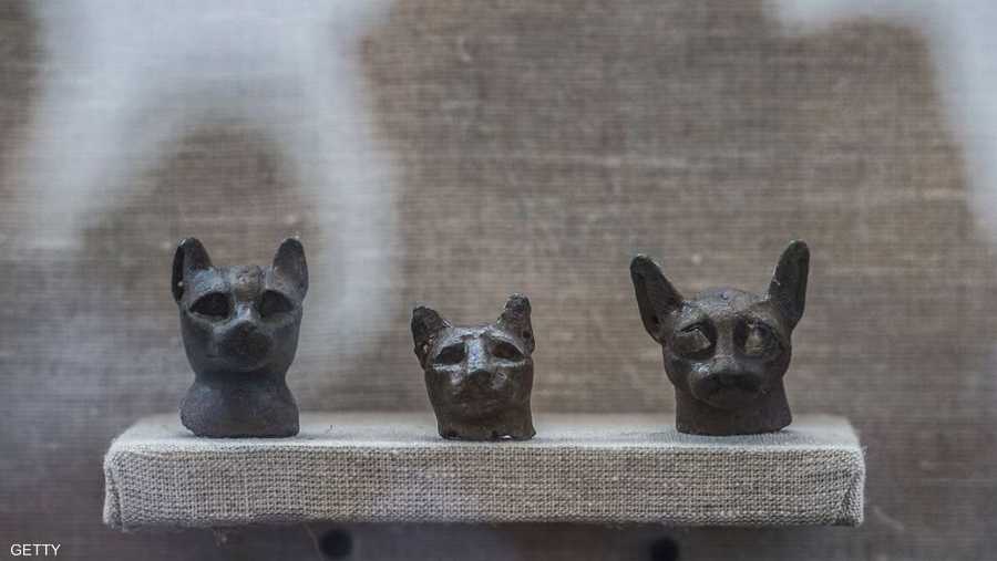 القطط عثر عليها مقابر تعود لعصر الدولة الحديثة