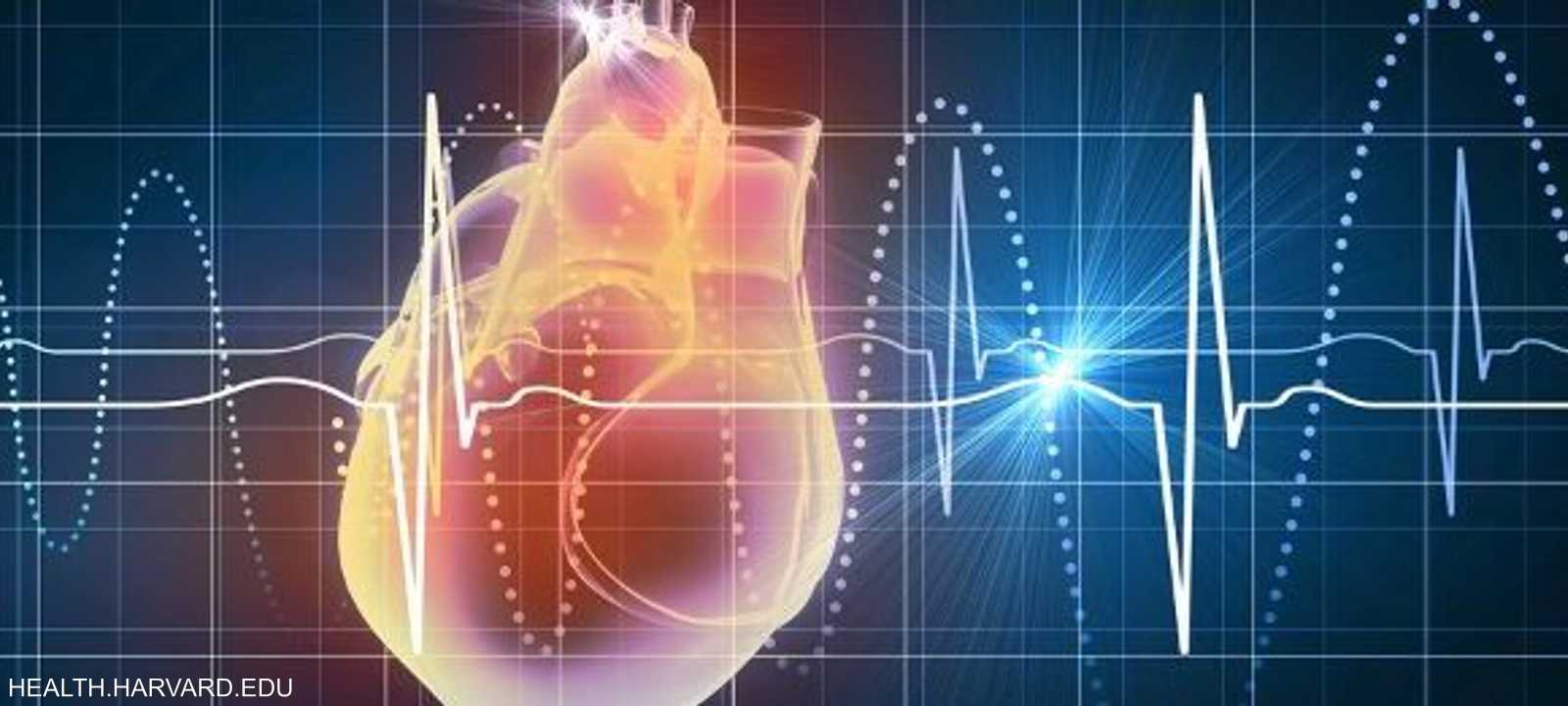 نبضات القلب تختلف حسب النشاط الذي يبذله الجسم