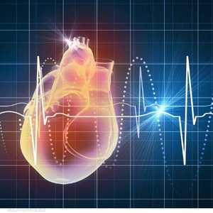 نبضات القلب تختلف حسب النشاط الذي يبذله الجسم