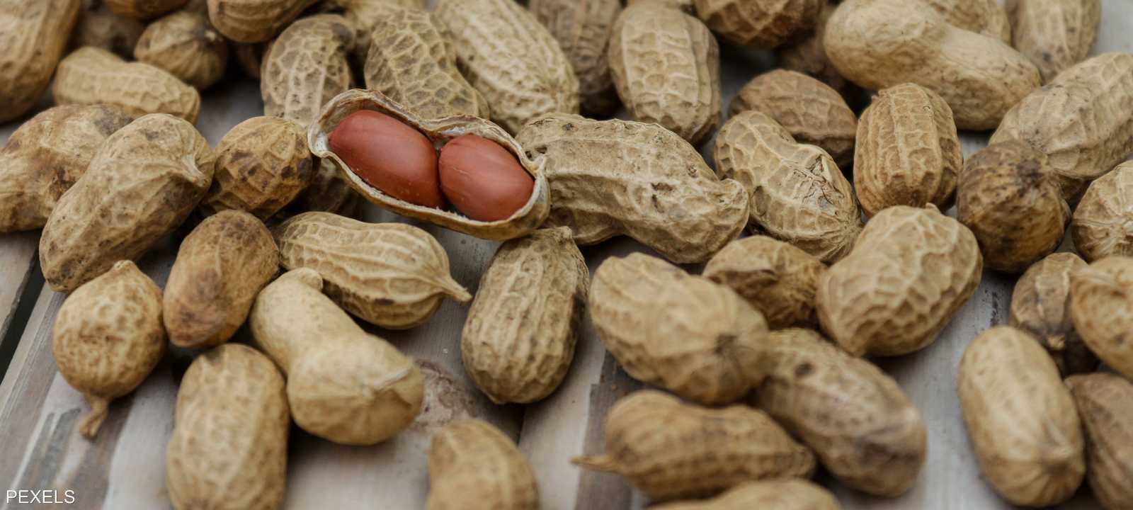 الفول السوداني