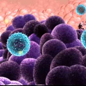 الدراسة نشرت في مجلة جمعية السرطان الأميركية.