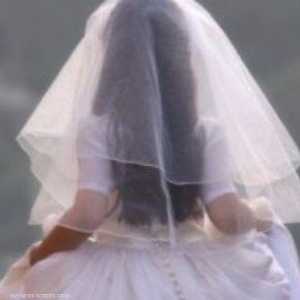 الحادثة أثارث ضجة كبيرة في العالم